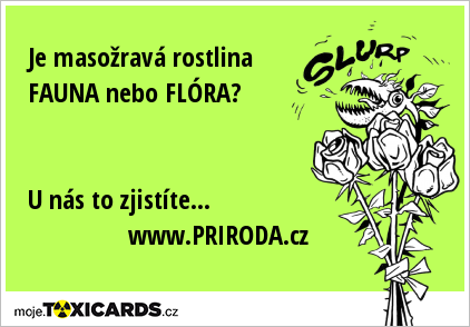 Je masožravá rostlina FAUNA nebo FLÓRA? U nás to zjistíte... www.PRIRODA.cz